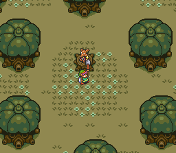 z3flot2.gif