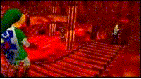 shiekharfe.gif